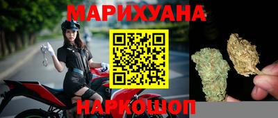 крисы Кулебаки
