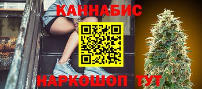крисы Кулебаки