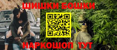 крисы Кулебаки