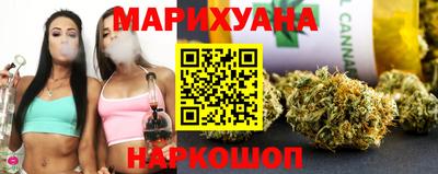 крисы Кулебаки
