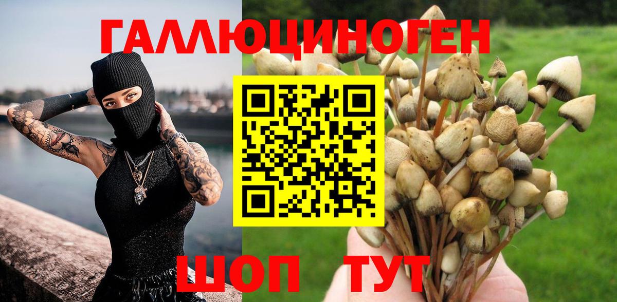 Псилоцибиновые грибы Psilocybine cubensis  наркотики  Черногорск  Вход с VPN 